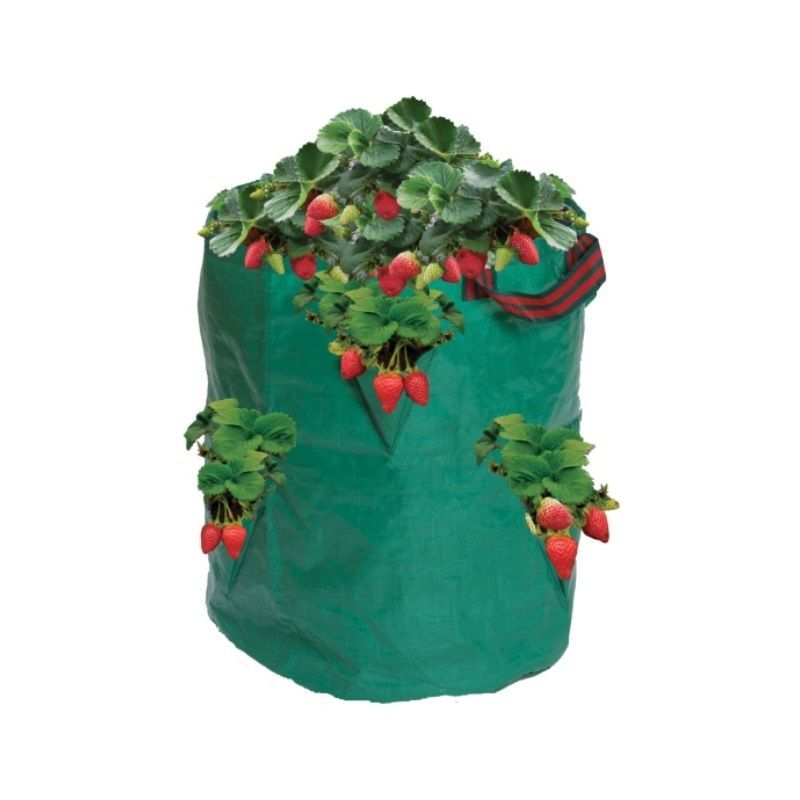 Garland Strawberry/Herb Bag