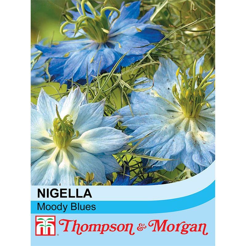 Thompson & Morgan Nigella Moody Blues
