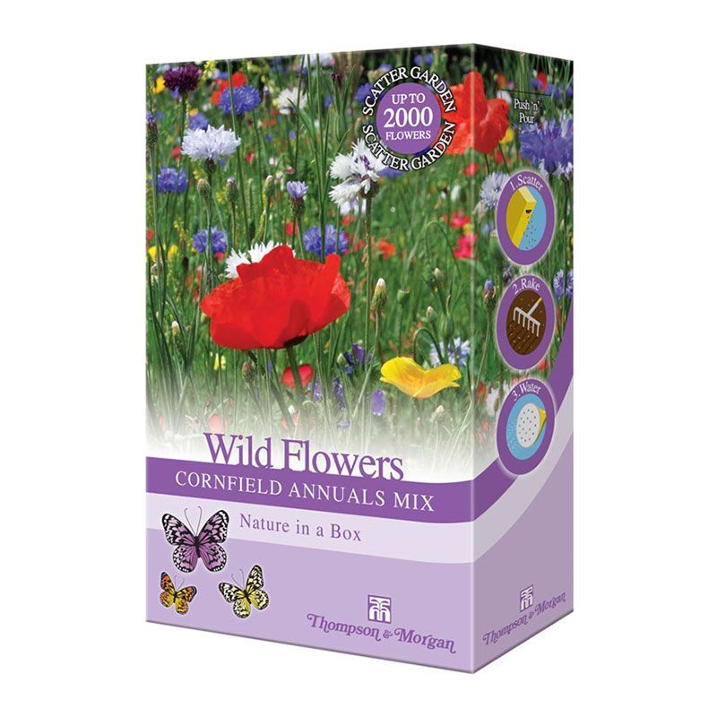 Thompson & Morgan Wild Flowers Cornfield Annuals Mix