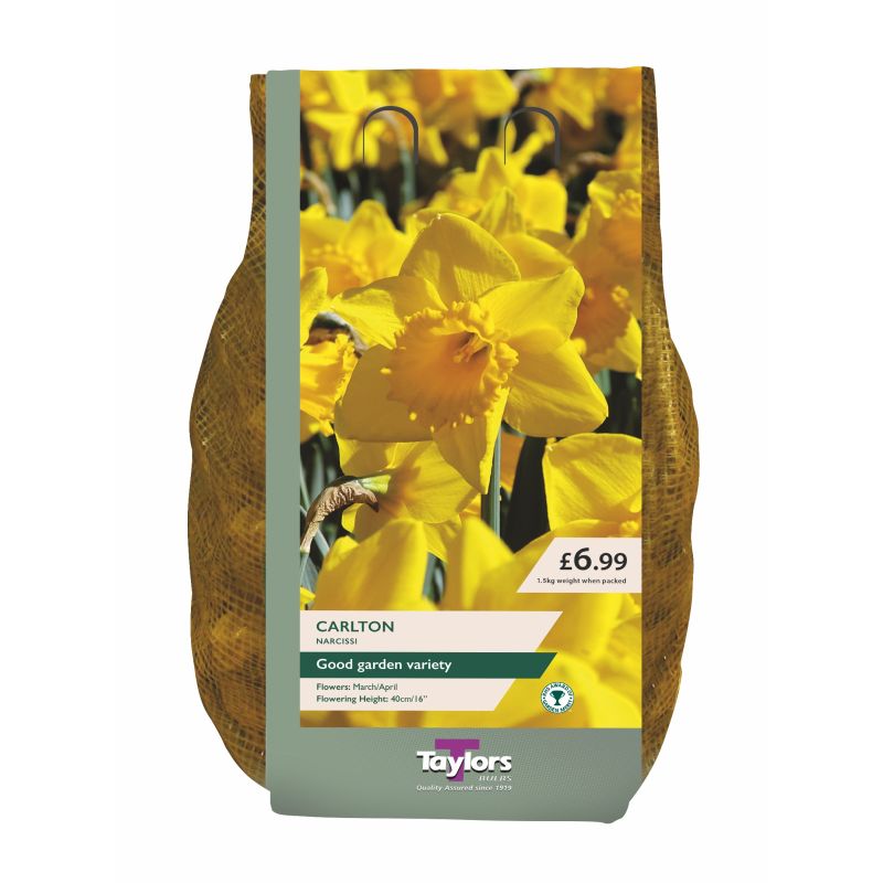 Narcissi 'Carlton' - 1.5kg Carri-Pack