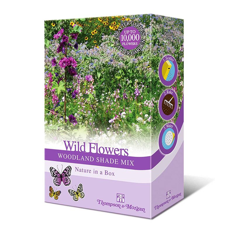 Thompson & Morgan Wildflowers Woodland Shade Mix
