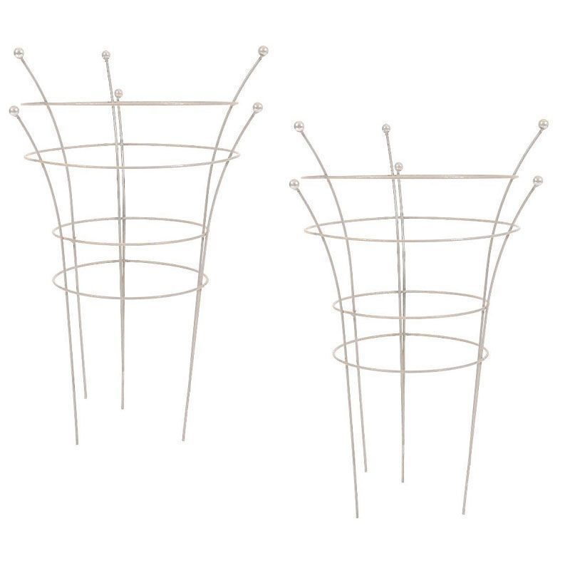 Tom Chambers Herbaceous Support Rust Twin Pack Large Plant Support Arboretum Garden Centre