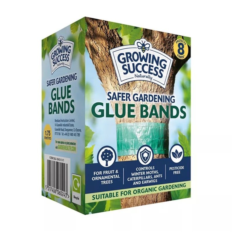 Growing Success Glue Band Traps 1.75m