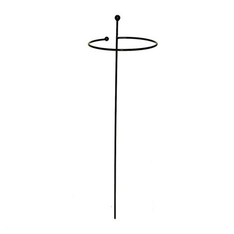 Tom Chambers Cottage Garden Single Stem Support Large Plant Support Arboretum Garden Centre