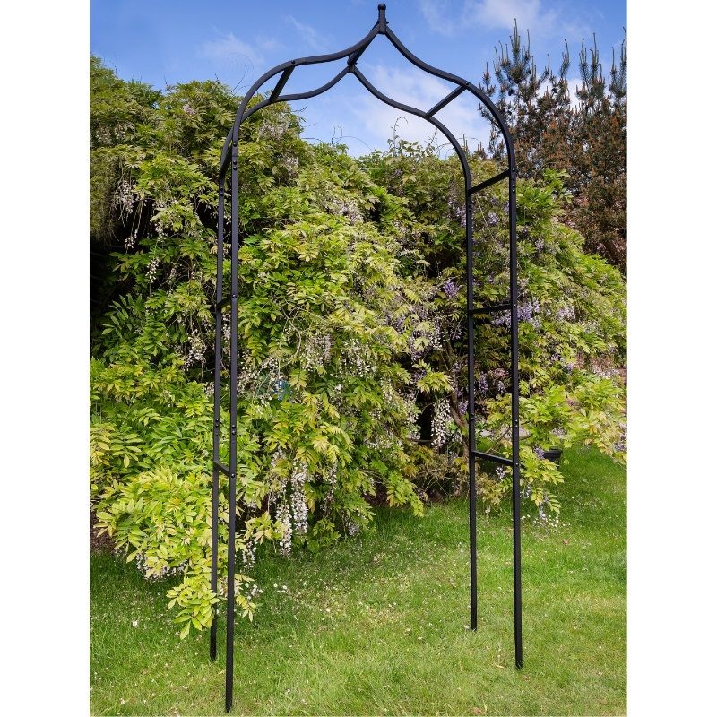Tom Chambers Classic Garden Arch