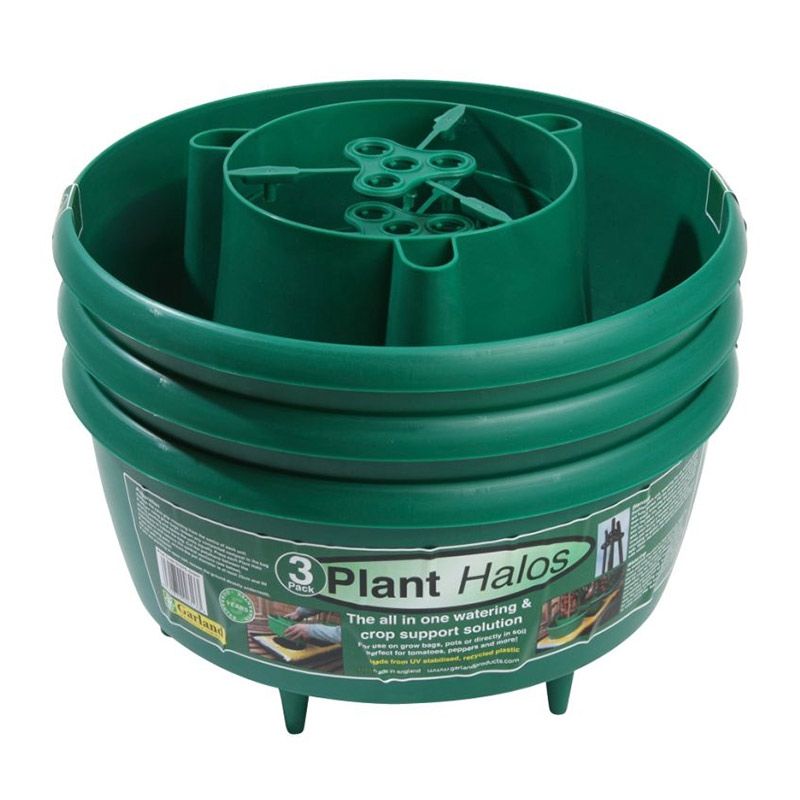 Plant Halos Green (Set of 3)