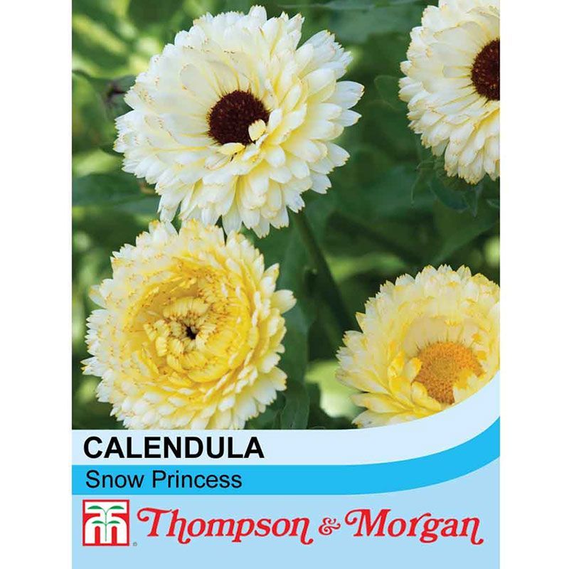 Thompson & Morgan Calendula 'Snow Princess' - Flower Seeds - Arboretum ...