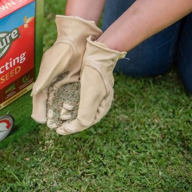 Gro-Sure Fast Acting Lawn Seed 50m²