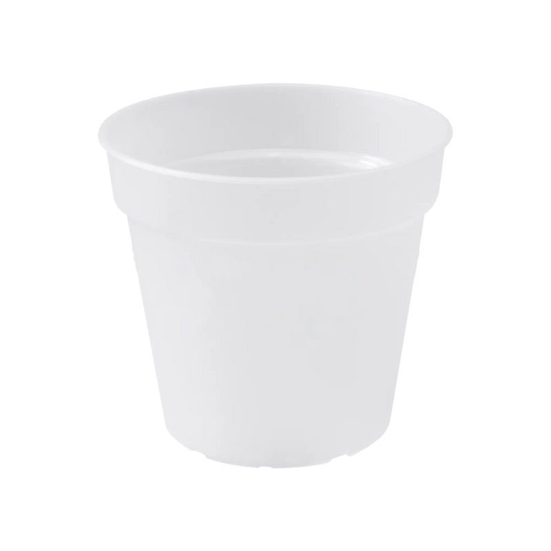 Elho Green Basics Orchid 15cm - Transparent
