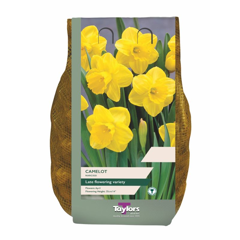 Narcissi Camelot - 1.5kg Carri-Pack