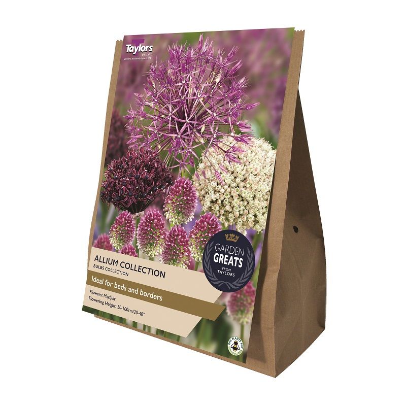 Allium Collection - Garden Greats