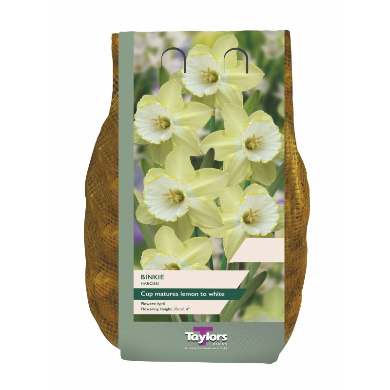 Narcissi 'Binkie' - 1.5kg Carri-Pack