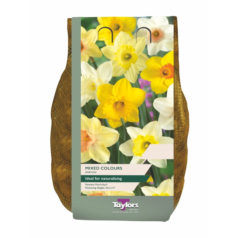 Narcissi Mixed - 1.5kg Carri-Pack