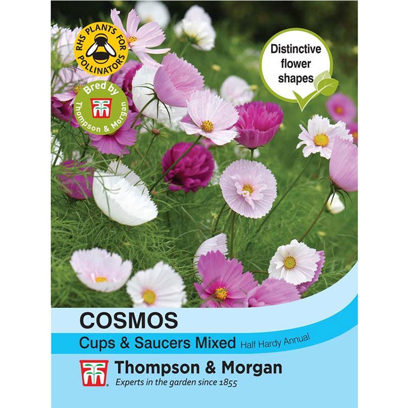 Thompson & Cosmos 'Cups & Saucers Mixed' Flower Seeds