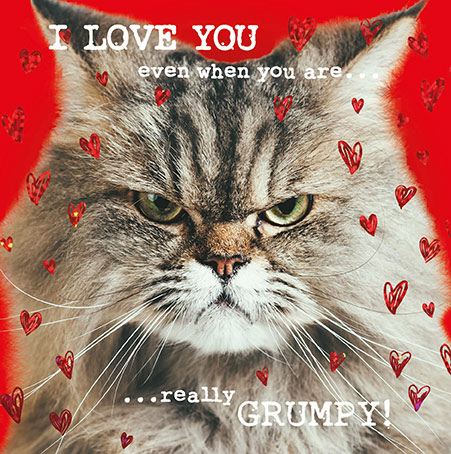 Grumpy Cat Valentines Card