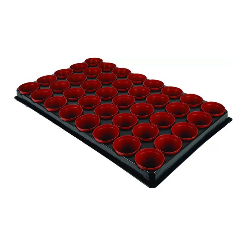 Seed and Cutting Tray (40 Pots)