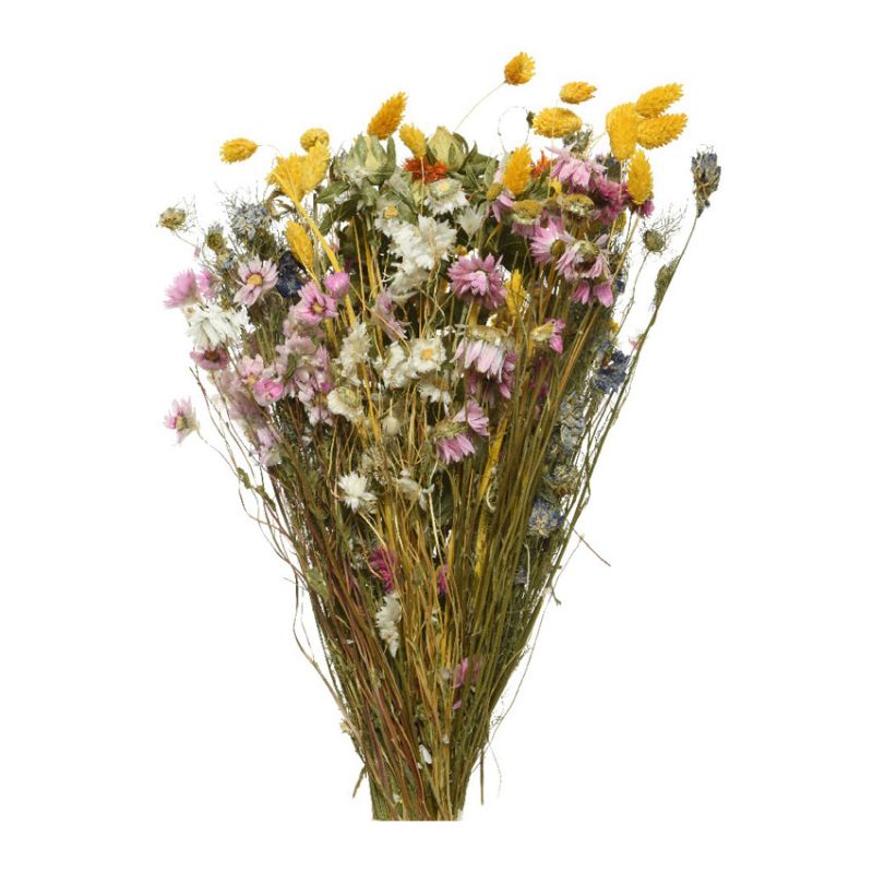 Colourful Dried Flower Bouquet on Stem 55cm