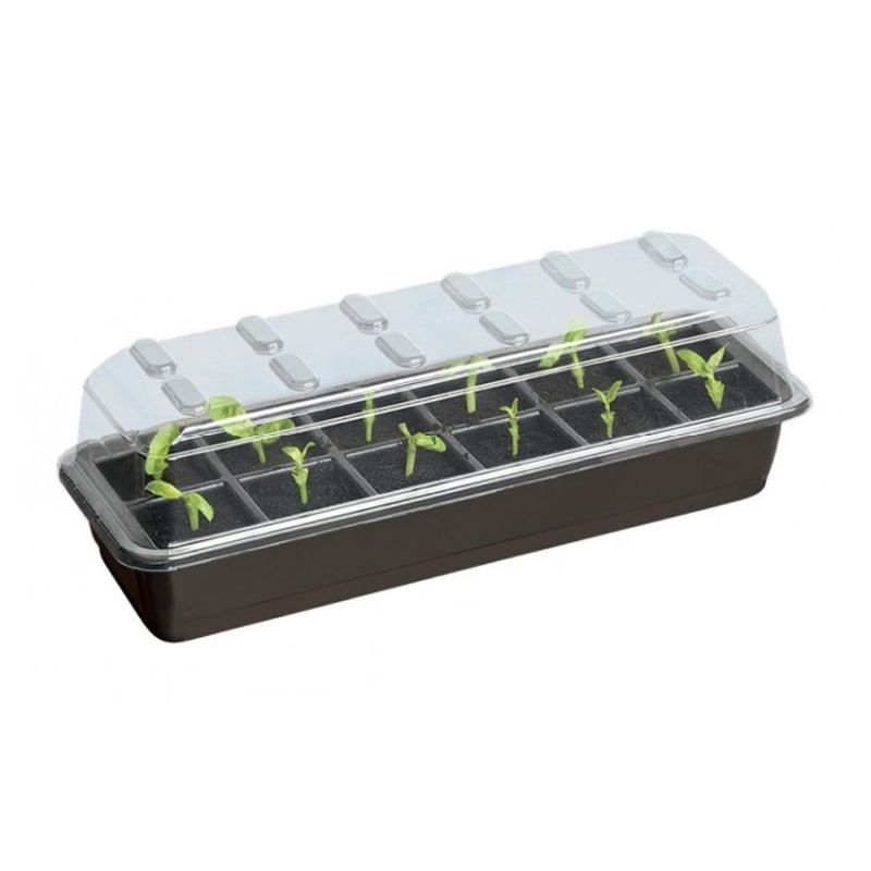 12 Cell Seed Starter Set