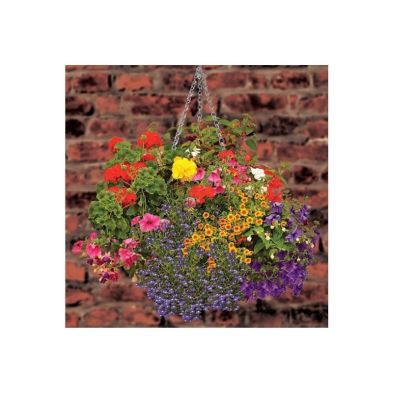 Garland 3-4 Arm Hanging Basket Chain (1)