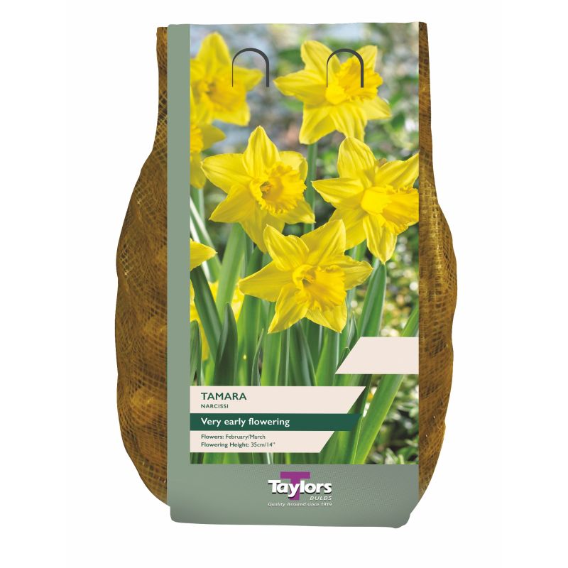 Narcissi 'Tamara' - 1.5kg Carripack