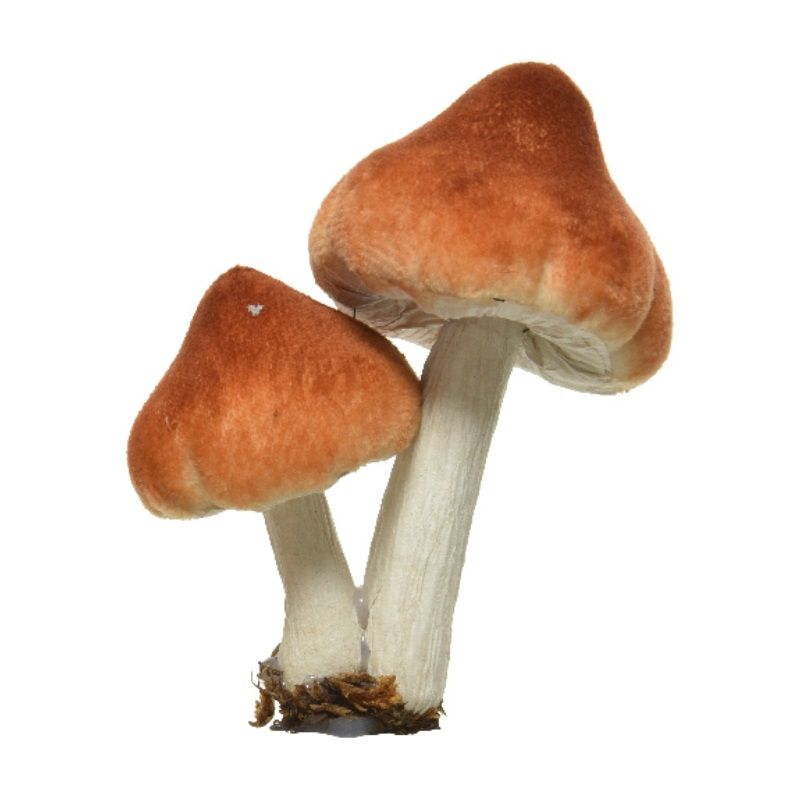 Clip-On Mushroom 9cm