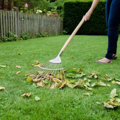 Kent & Stowe Stainless Steel Lawn & Leaf Rake 170cm