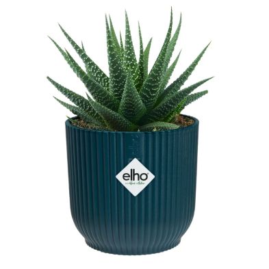 Elho Vibes Fold Round Mini 9cm - Deep Blue