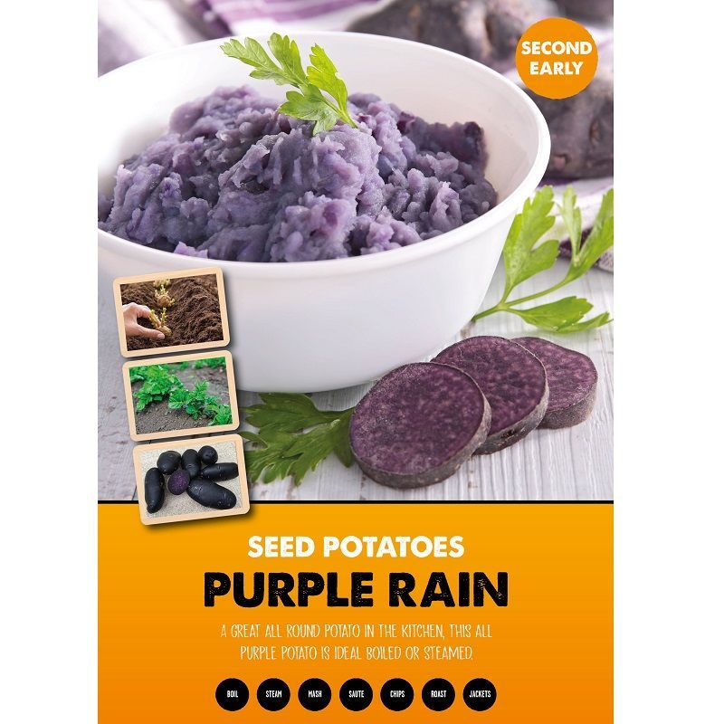 Purple Rain (Second Early) 2kg