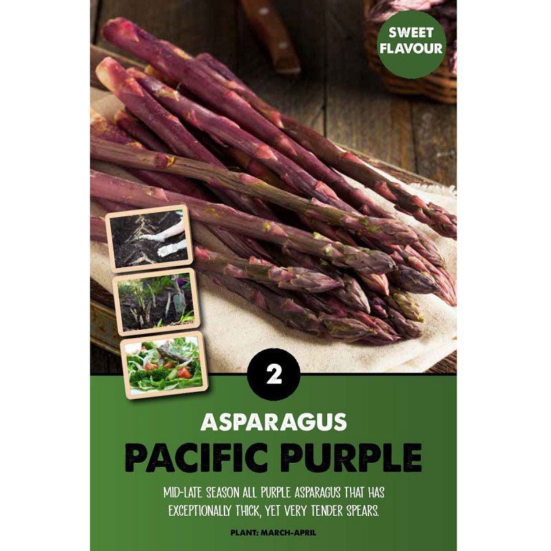Asparagus Pacific Purple
