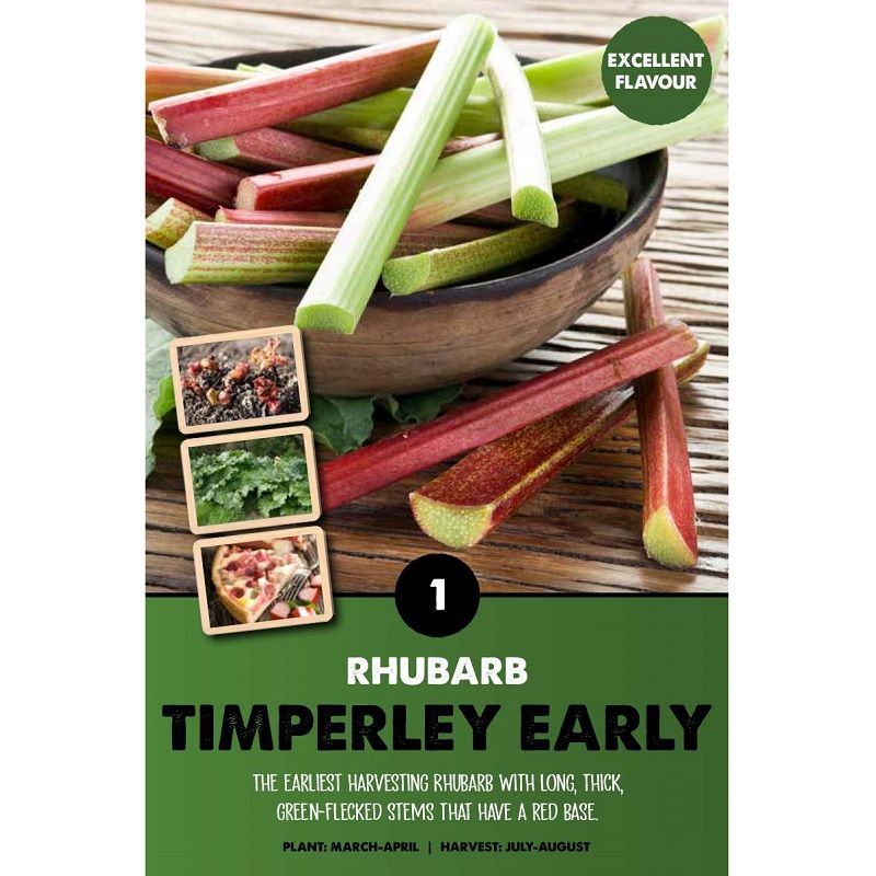 Rhubarb Timberley Early