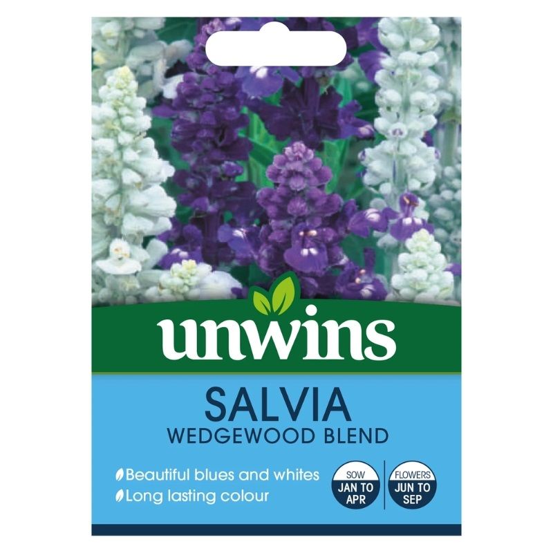 Unwins Salvia Wedgewood Blend