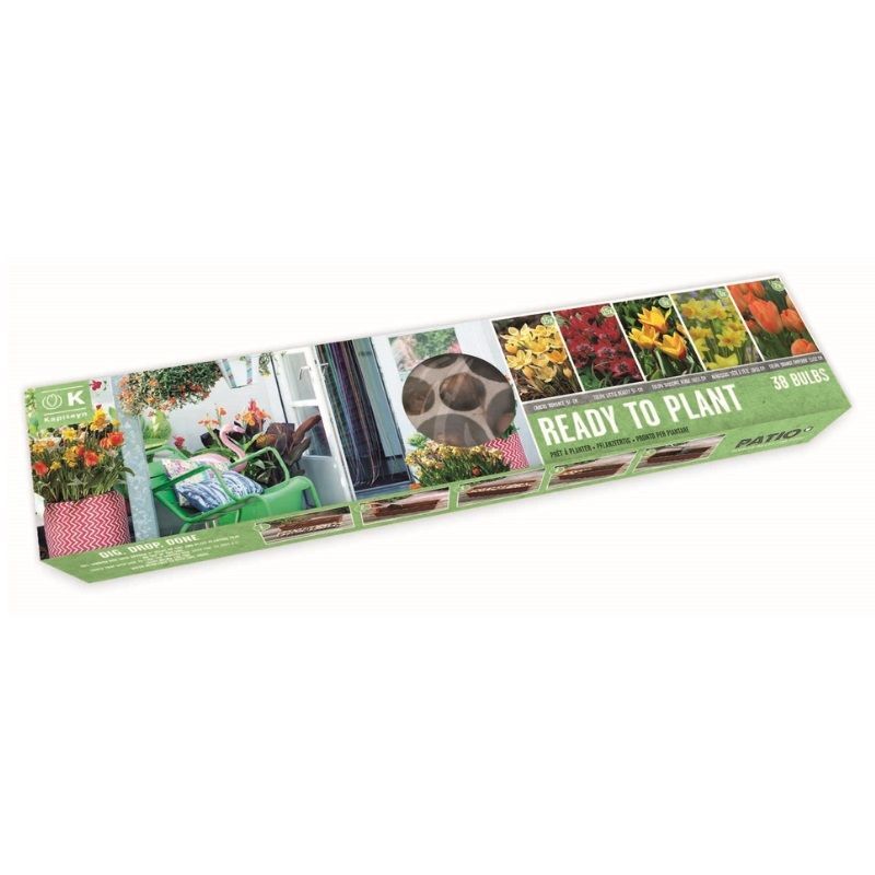 Kapiteyn Ready-To-Plant Balcony Tray (Sunshine Mix)