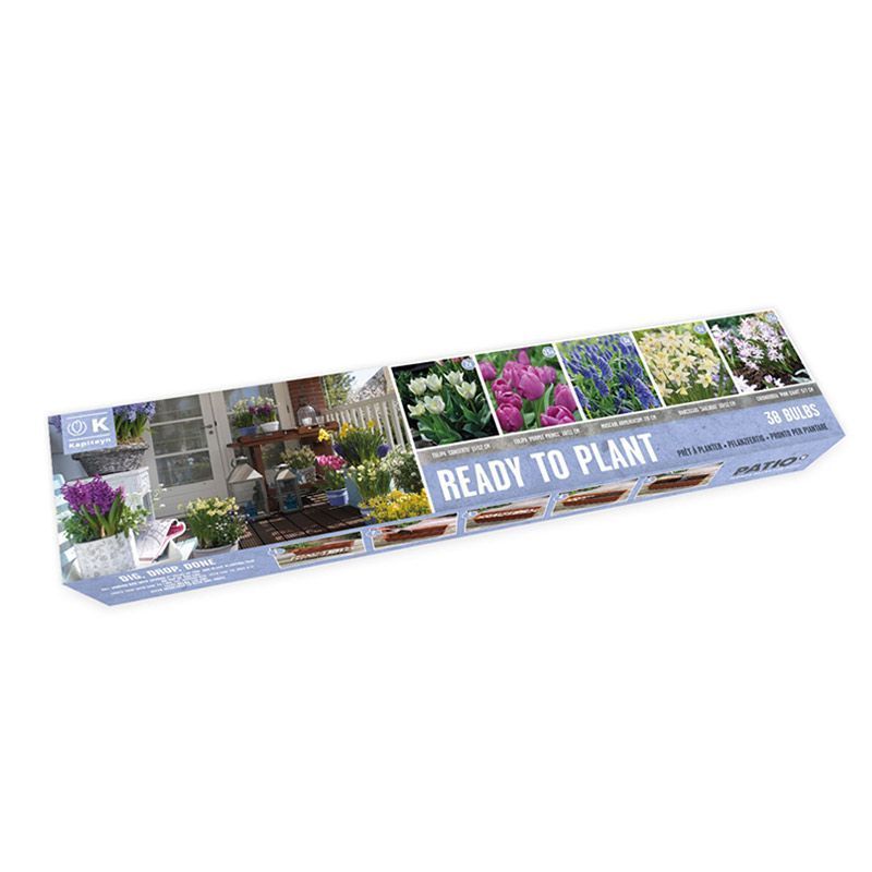 Kapiteyn Ready-To-Plant Balcony Tray (Galaxy Mix)