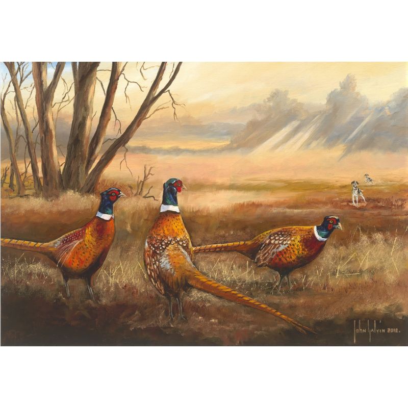 John Galvin "Woodland Pheasants" 33x28cm