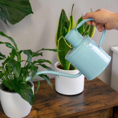 Kent & Stowe Metal Watering Can 1 Litre - Blue Sky