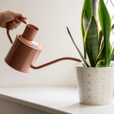 Kent & Stowe Metal Watering Can 1 Litre - Blush Pink