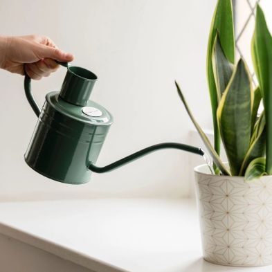 Kent & Stowe Metal Watering Can 1 Litre - Sage Green