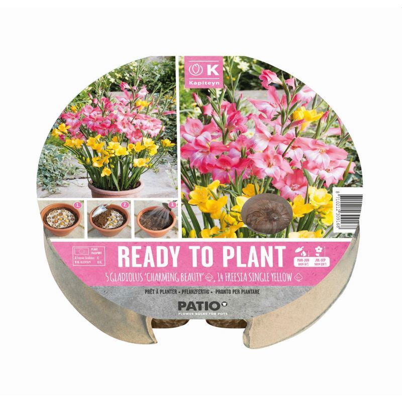 Urban Gardening - Ready-to-Plant Tray Gladioli & Freesia (Dig, Drop, Done)