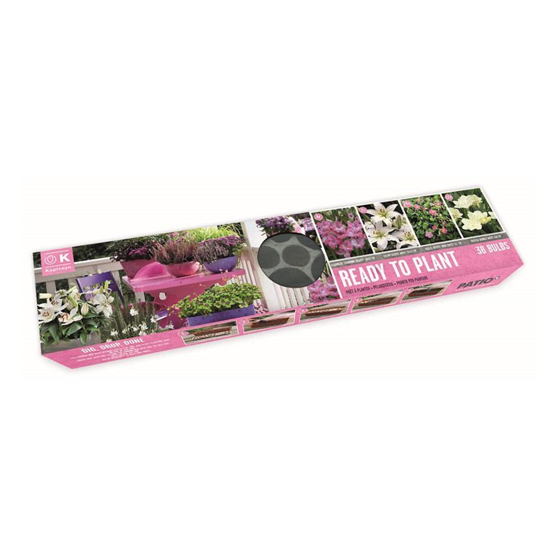 Urban Gardening - Ready-to-Plant Balcony Tray Pink-White Shades (Dig, Drop, Done)