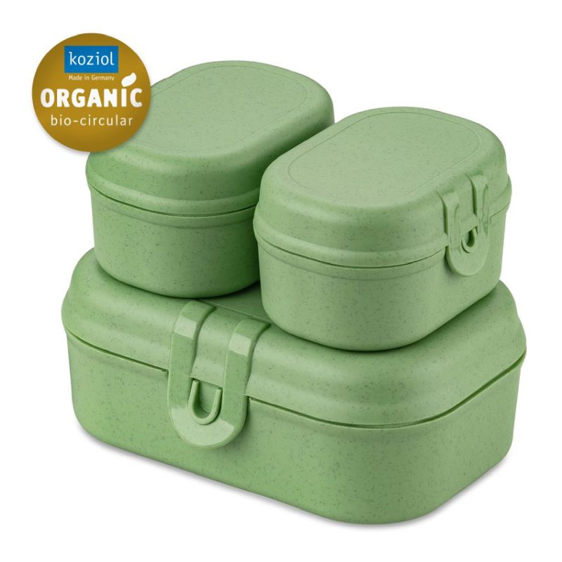 Pascal Mini Lunch Box Set (3-Piece) - Leaf Green