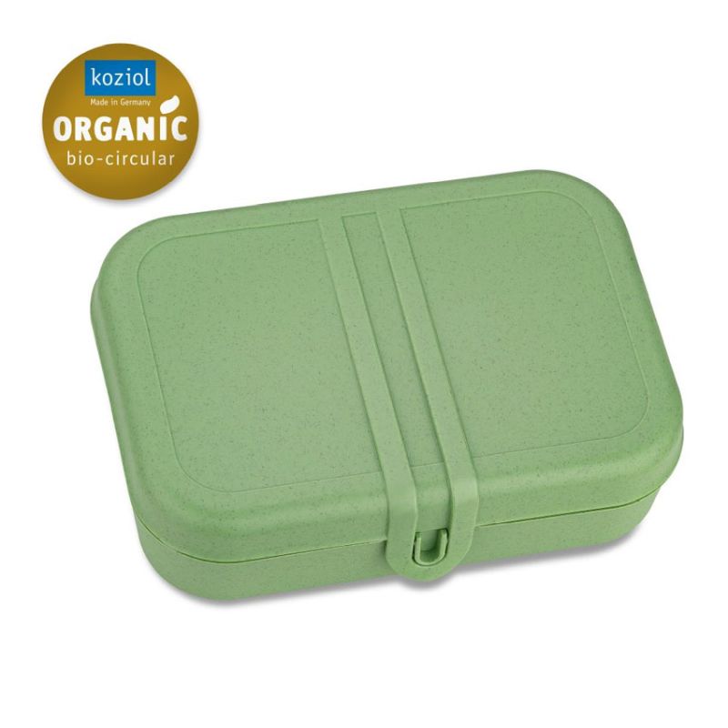 Pascal Lunchbox with Separator - Leaf Green
