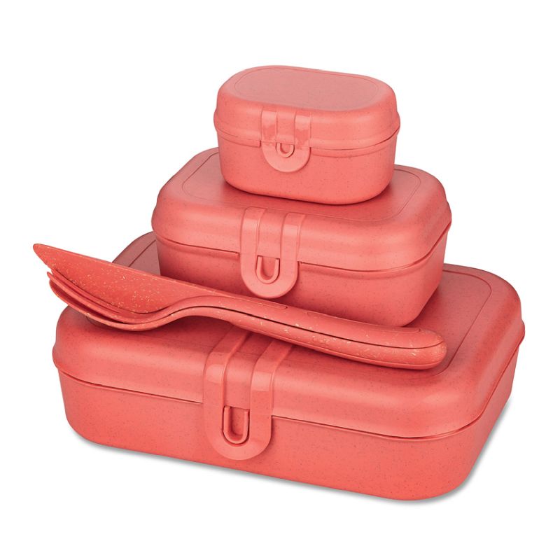 Pascal 4-Piece Lunch Box Set + Cutlery Set - Coral