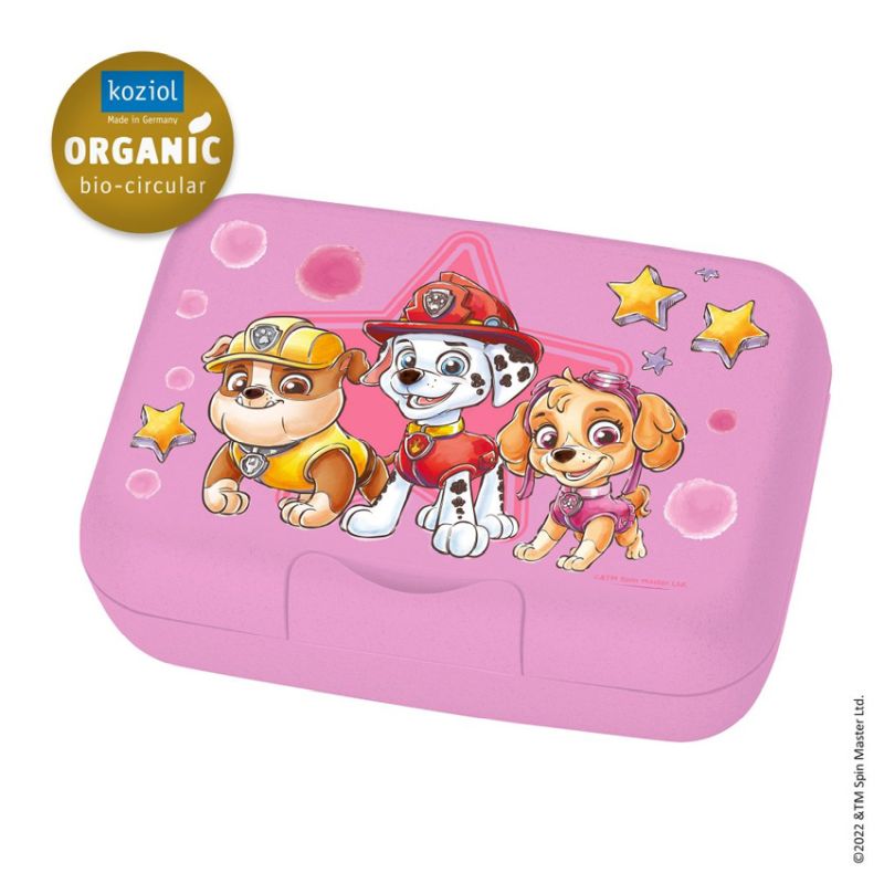 Paw Patrol Lunch Box with Separator - Pink