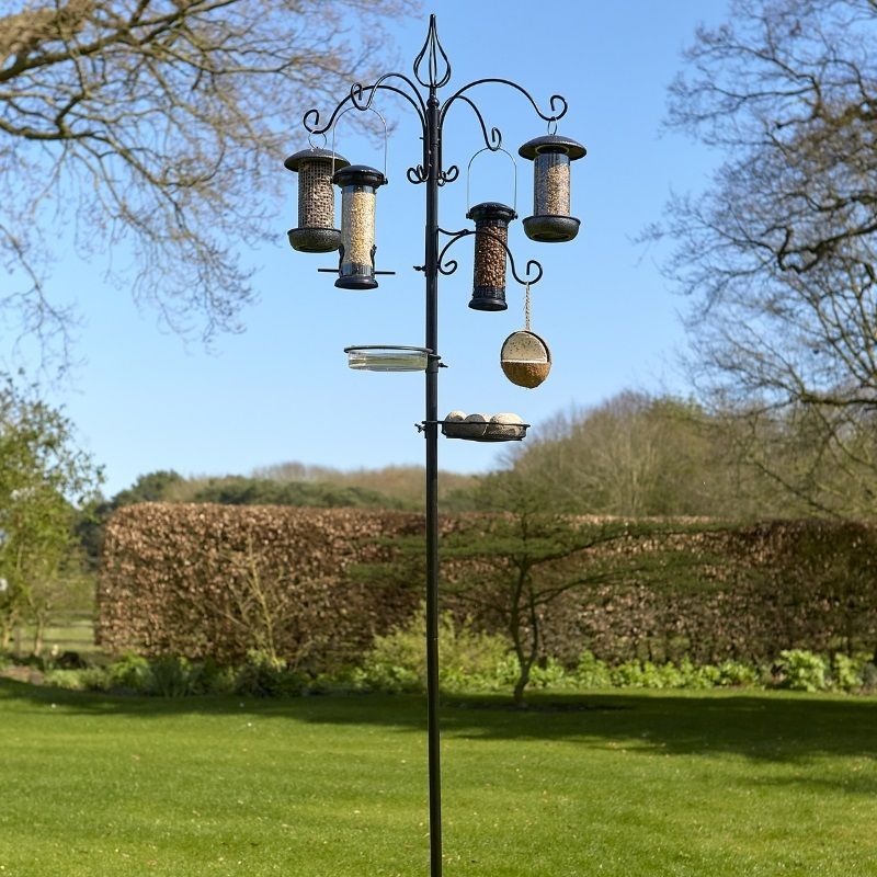 Tom Chambers Harvest Bird Feeding Station