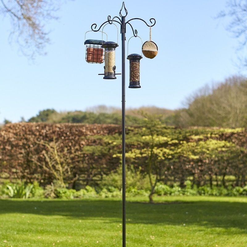 Tom Chambers Banquet Bird Feeding Station