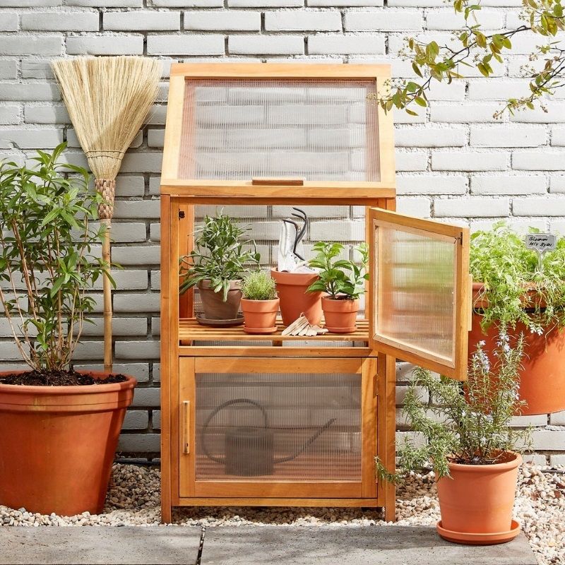 Caminia Greenhouse - Medium