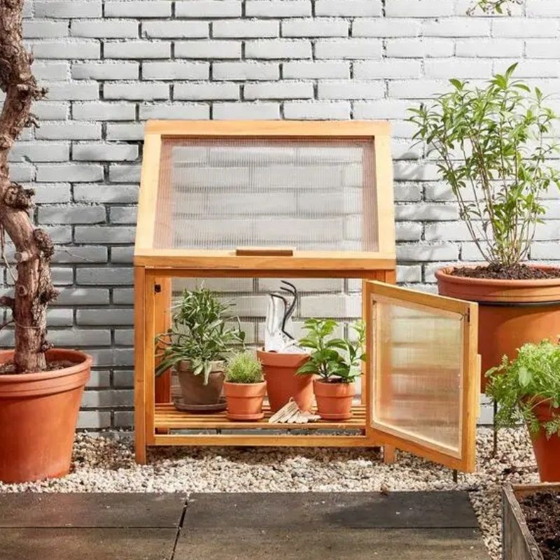 Caminia Greenhouse - Small