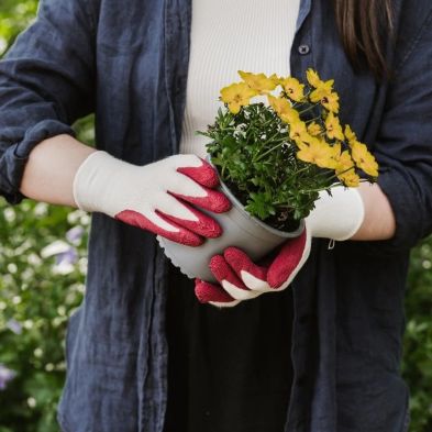 Kent & Stowe Rumba Red Bamboo Gloves - Small