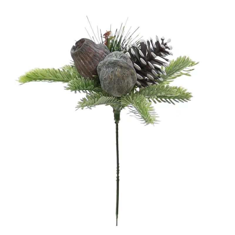 Walnut Cone Foliage 20cm