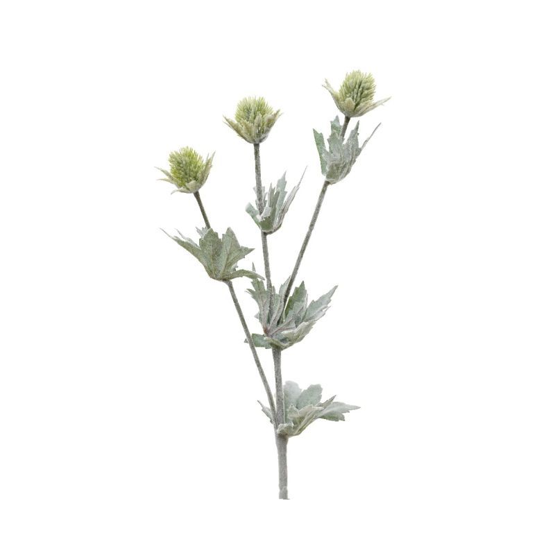 Frosted Eryngium on Stem 67cm - Green